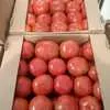 помидоры оптом в Уфе